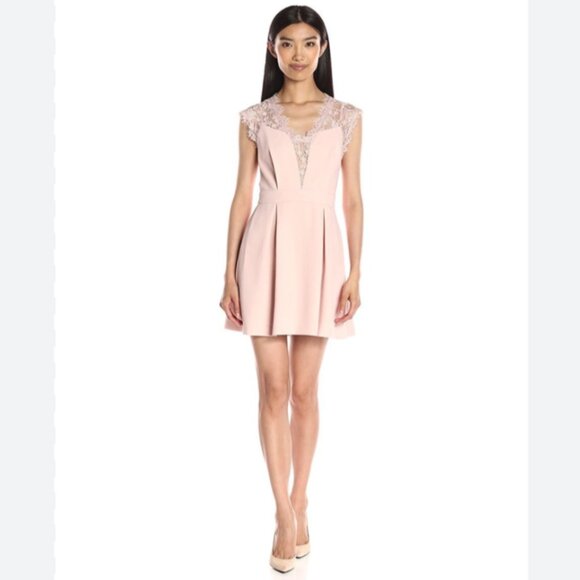 Brand New BCBGeneration Pink Lace-inset Fit & Flare Dress - Picture 9 of 12